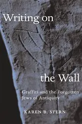Book cover of Writing on the Wall by David S. Martins