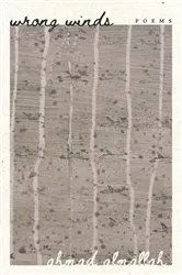 Book cover of Wrong Winds by Ahmad Almallah