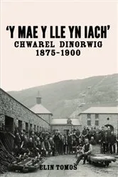 Book cover of Y Mae y Lle yn Iach' - Chwarel Dinorwig 1875-1900 by Unknown
