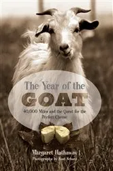 Book cover of Year of the Goat by Margaret Hathaway