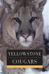 Book cover of Yellowstone Cougars by Toni K. Ruth