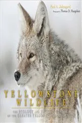 Book cover of Yellowstone Wildlife by Paul A. Johnsgard
