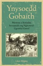 Book cover of Ynysoedd Gobaith by Llion Wigley