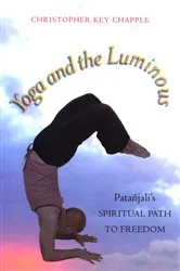 Book cover of Yoga and the Luminous by Christopher Key Chapple