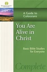 Book cover of You Are Alive in Christ by Stonecroft Ministries