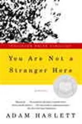 Book cover of You Are Not a Stranger Here by Adam Haslett