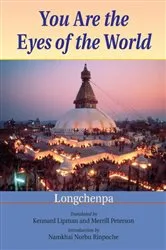 Book cover of You Are the Eyes of the World by Longchenpa