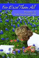 Book cover of You Excel Them All by David E. Crosby