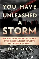 Book cover of You Have Unleashed a Storm by David Viola