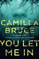 Book cover of You Let Me In by Camilla Bruce