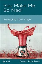 Book cover of You Make Me So Mad! by David Powlison