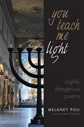 Book cover of You Teach Me Light by Melaney Poli
