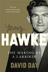 Book cover of Young Hawke by David Day