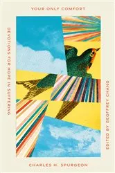 Book cover of Your Only Comfort by Charles H. Spurgeon