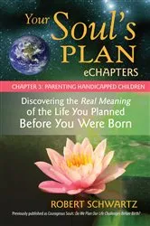 Book cover of Your Soul's Plan eChapters - Chapter 3: Parenting Handicapped Children by Robert Schwartz