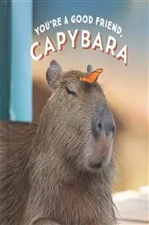 Book cover of You're a Good Friend, Capybara by Chronicle Books