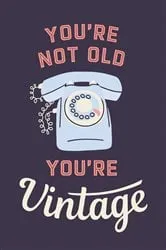 Book cover of You're Not Old, You're Vintage by Summersdale Publishers