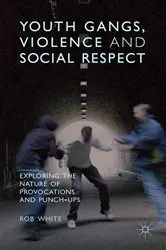 Book cover of Youth Gangs, Violence and Social Respect by R. White