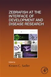 Book cover of Zebrafish at the Interface of Development and Disease Research by Kirsten C. Sadler Edepli
