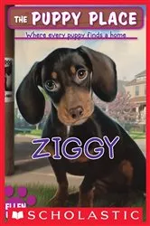 Book cover of Ziggy (The Puppy Place #21) by Ellen Miles