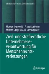 Book cover of Zivil- und strafrechtliche Unternehmensverantwortung für Menschenrechtsverletzungen by Unknown