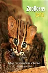 Book cover of ZooBorns Cats! by Unknown