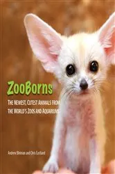 Book cover of ZooBorns by Andrew Bleiman
