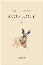 Book cover of Zoology by Unknown