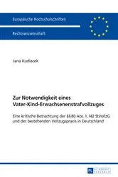 Book cover of Zur Notwendigkeit eines Vater-Kind-Erwachsenenstrafvollzuges by Jana Kudlacek