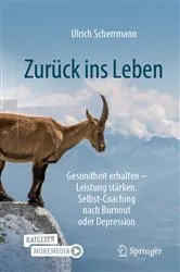 Book cover of Zurück ins Leben by Ulrich Scherrmann
